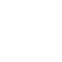 GNP