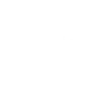 Grupo Salinas